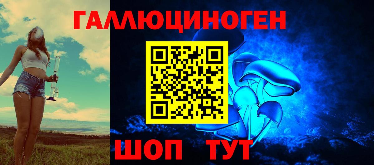 Кимры  Псилоцибиновые грибы ЛСД  Вход с VPN 